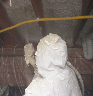  MD crawl space insulation